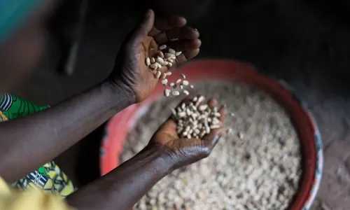 Ripple Effect's statement on the Foreign Aid Budget Cuts