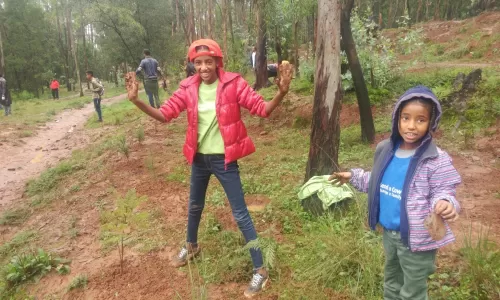 National tree planting campaign: Greening Ethiopia.