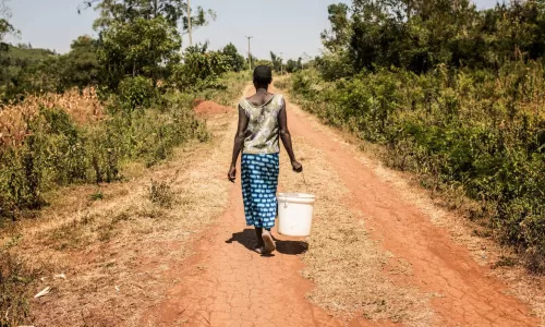 International Day for the Elimination of Violence Against Women