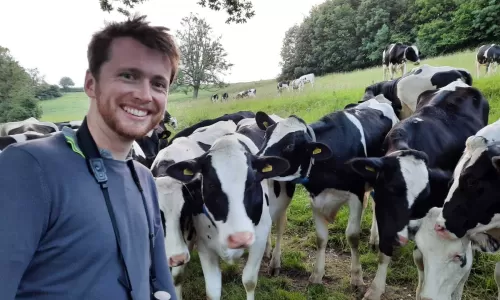Doug Statt with cows
