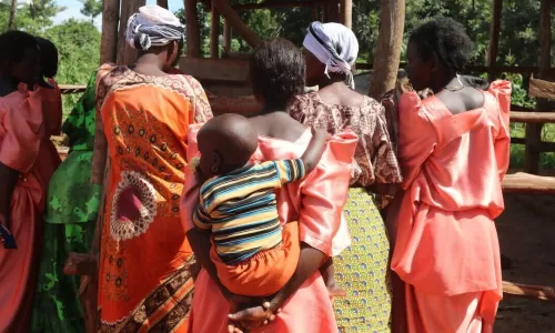 Womens development association