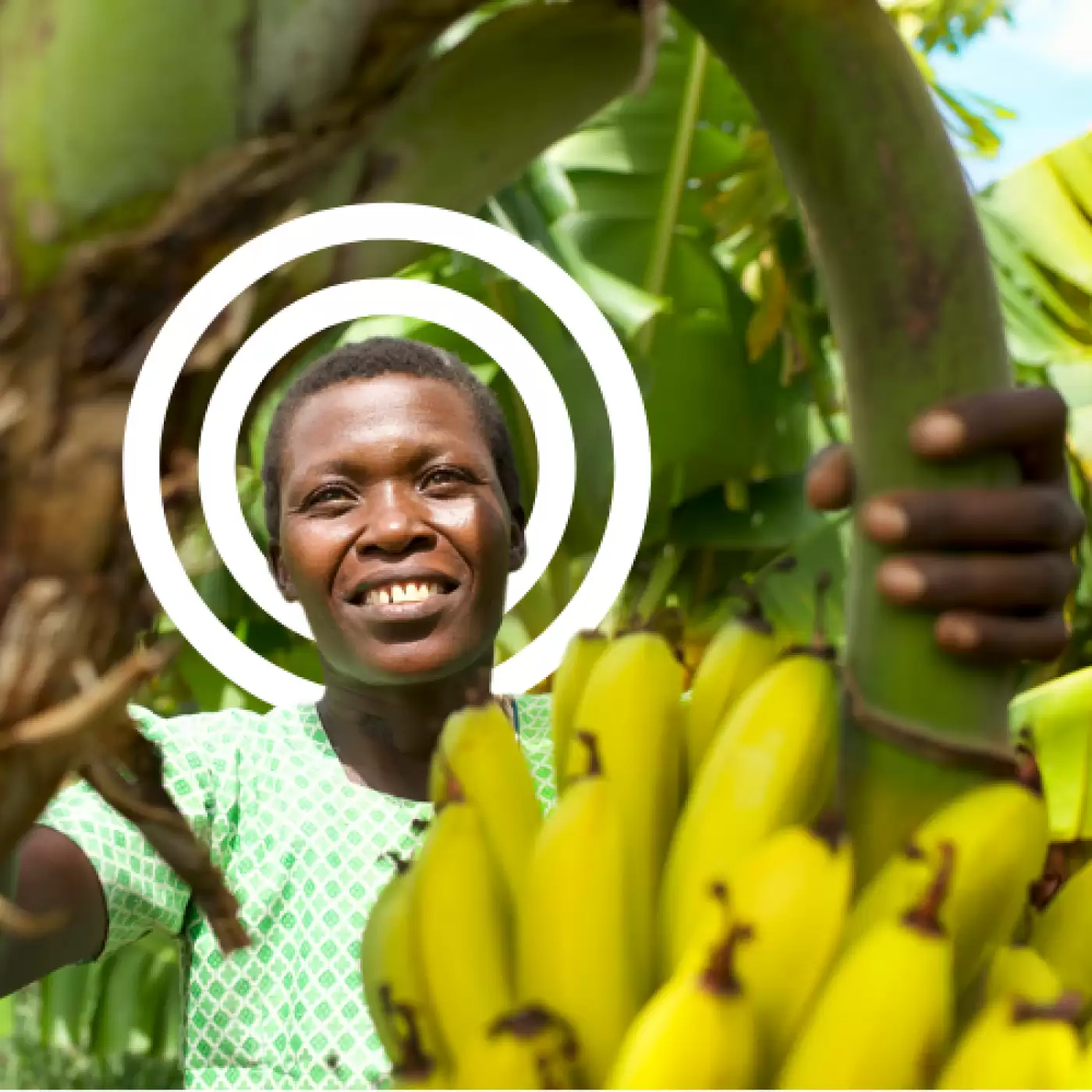 Ripple Effect farmer holding some bananas