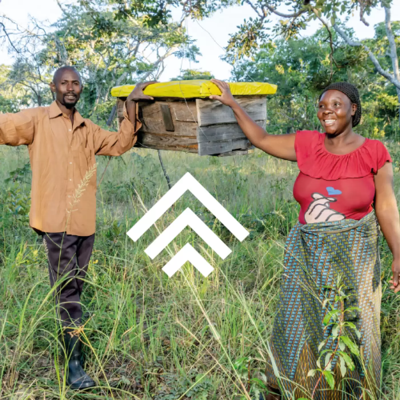 Beehives on a farm in Ethiopia