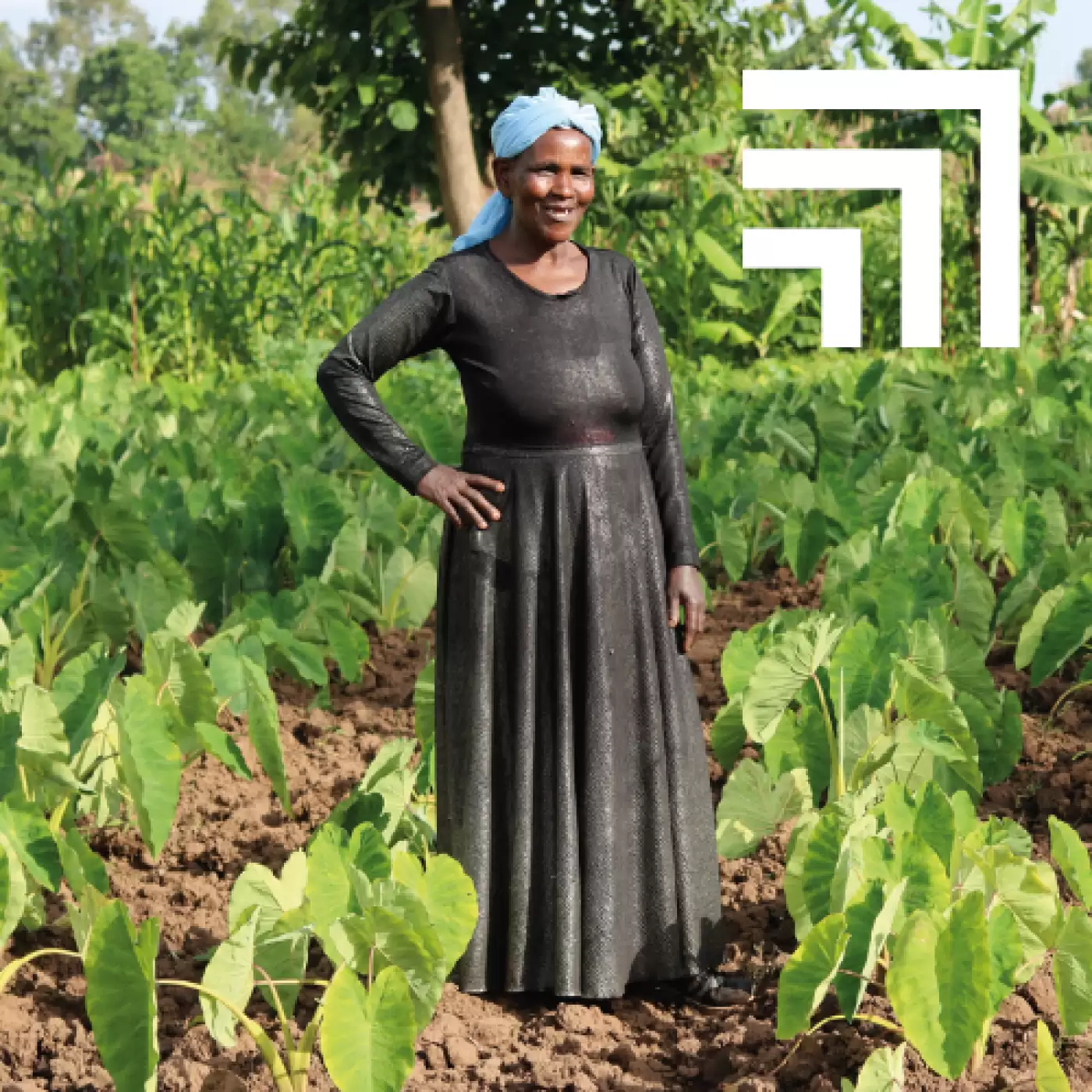 Ripple Effect farmer in Ethiopia