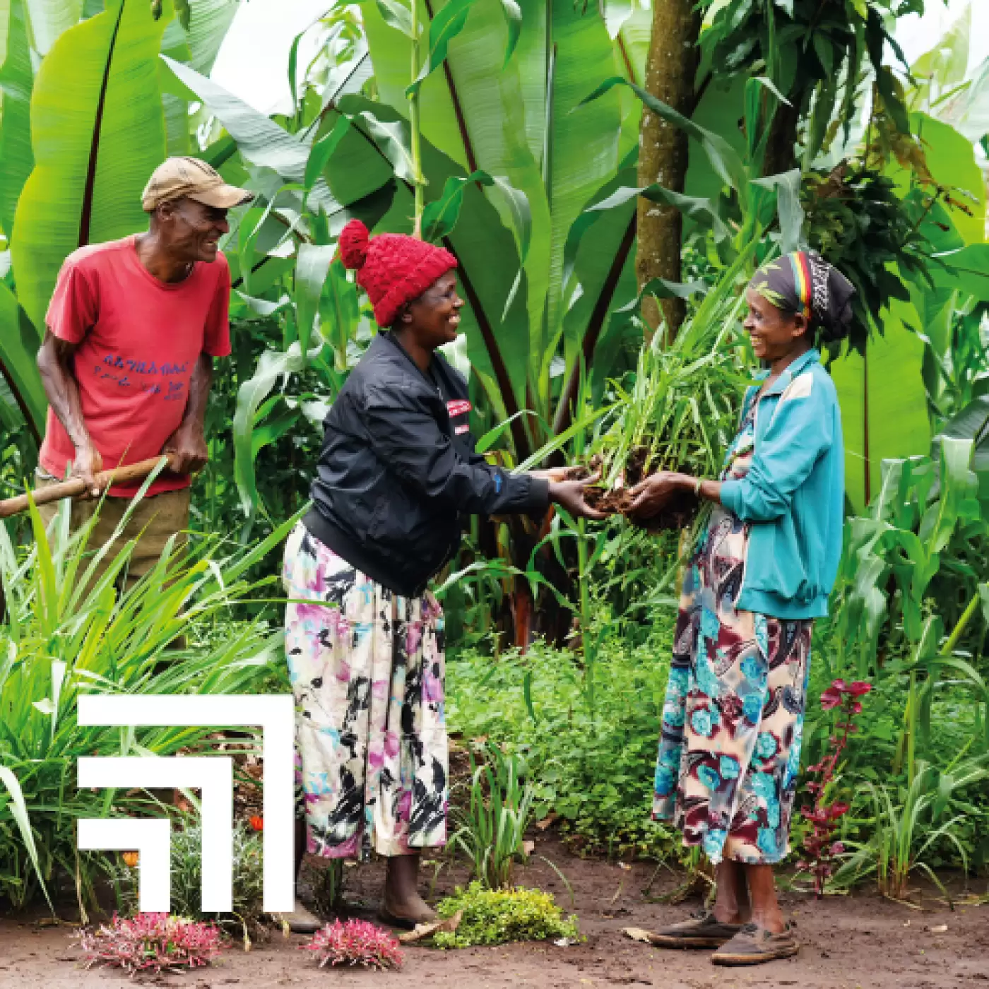 Two Ripple Effect farmers celebrating