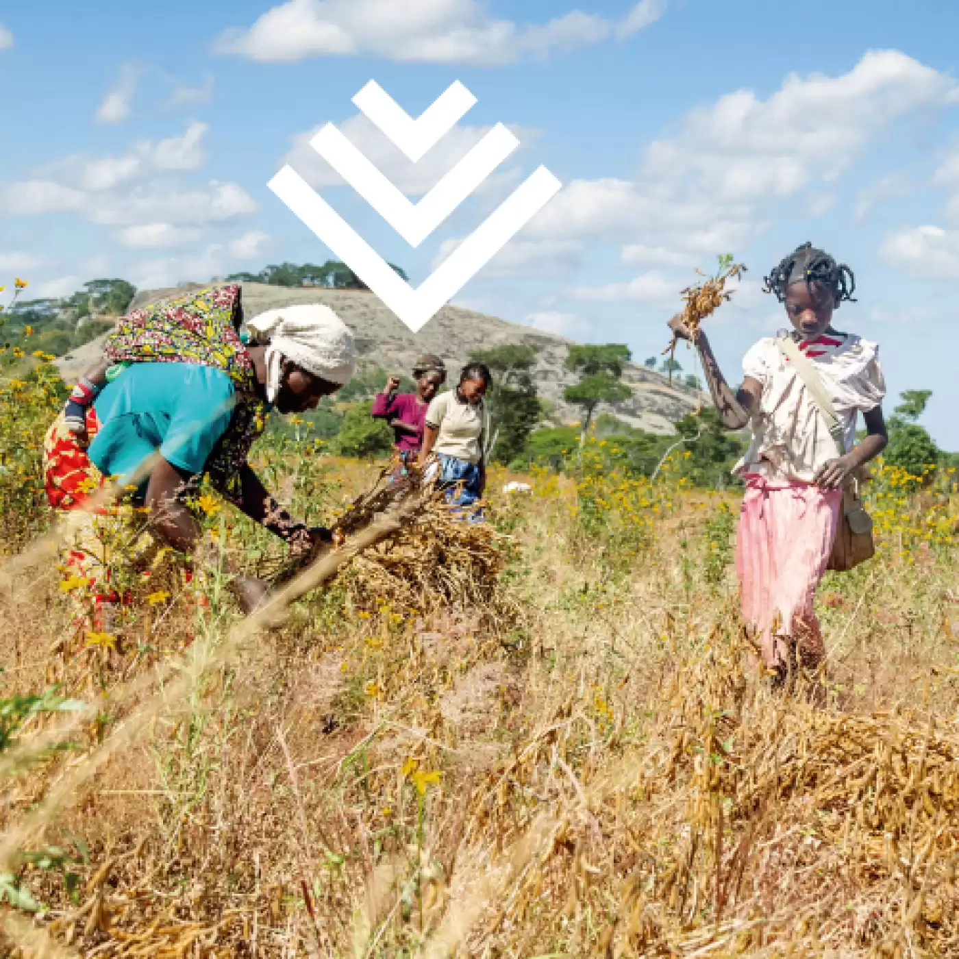 Ripple Effect farmers standing in a group