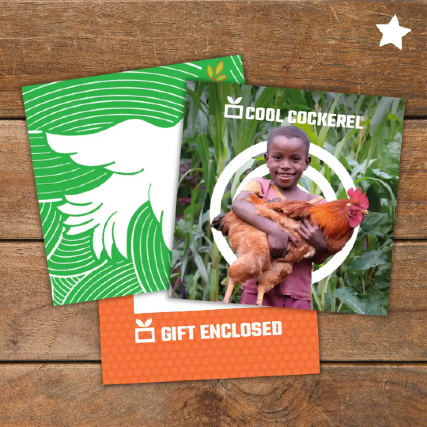 Flay lay of Cool Cockerel gift pack