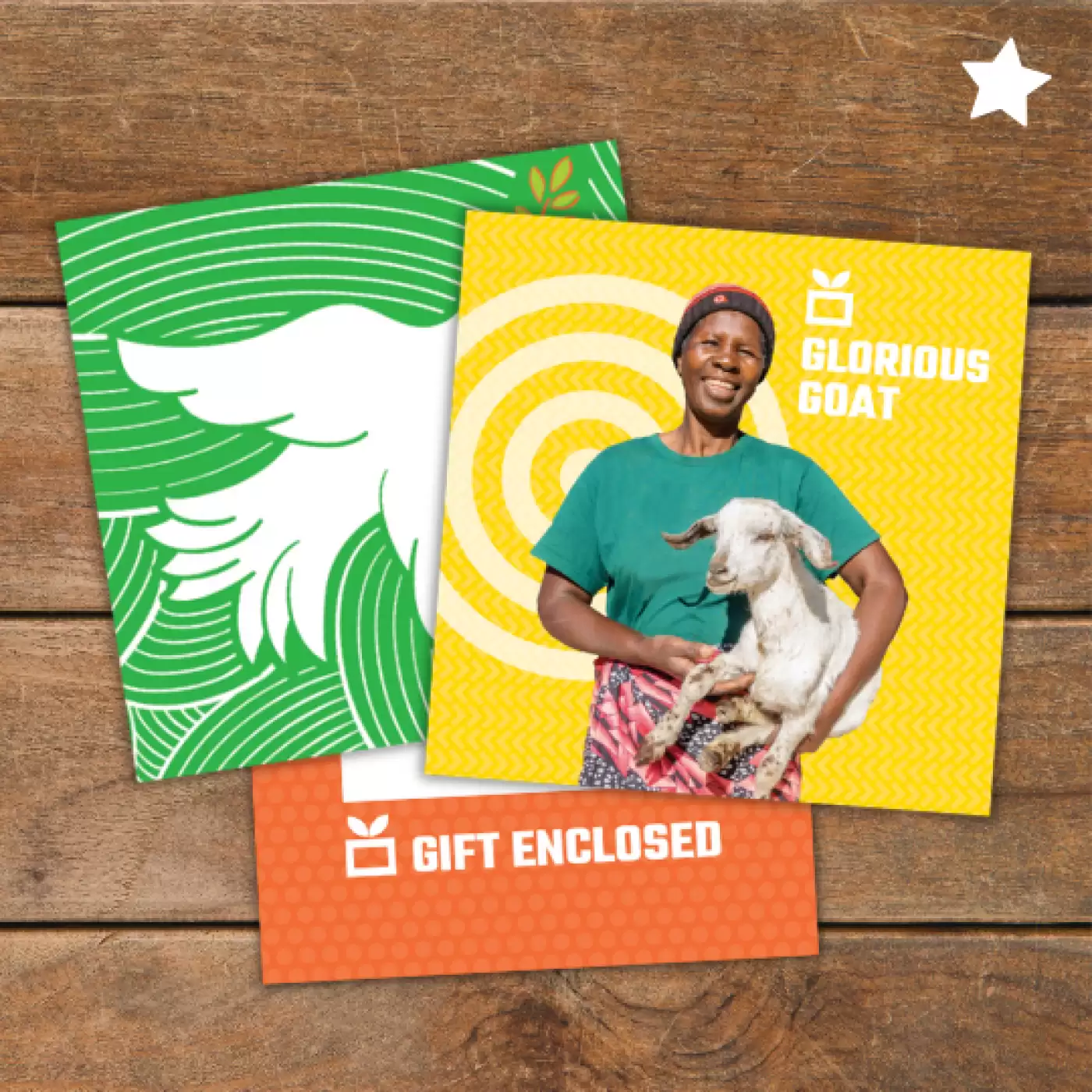Flat lay of a Ripple Effect charity gift