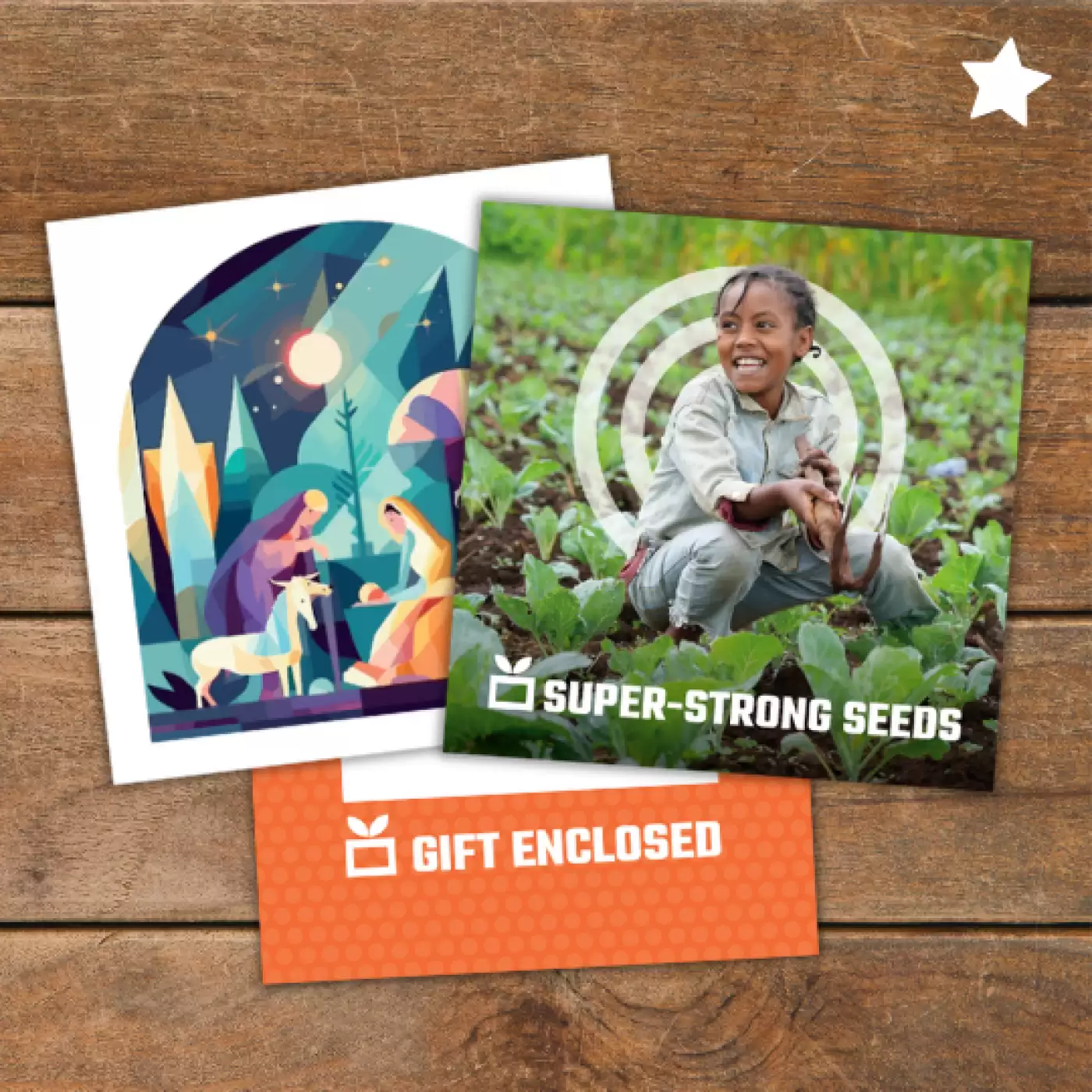 Flay lay of Super-Strong Seeds gift pack
