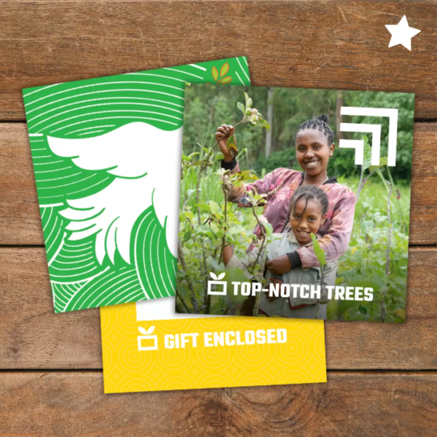 Flat lay of Top-Notch Trees gift pack