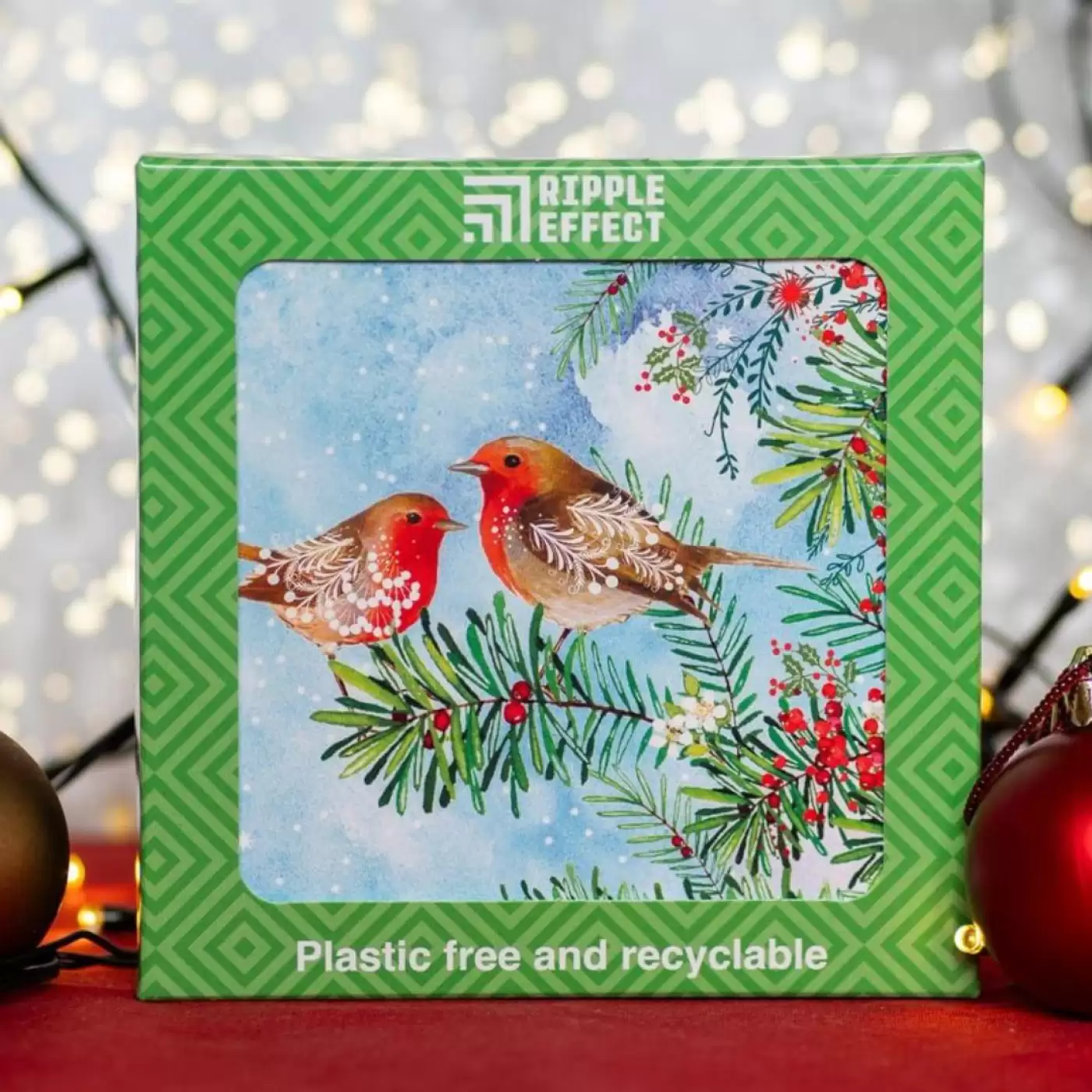 Christmas Cards - Robins Meeting