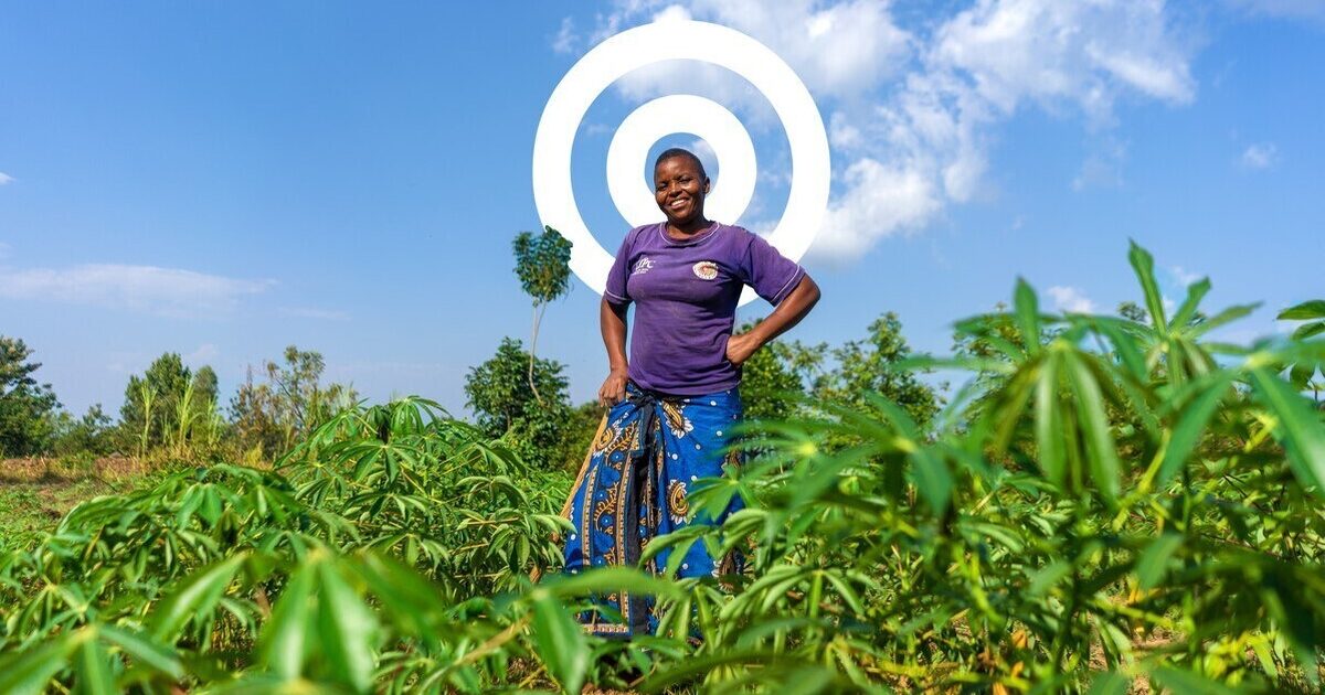 Ripple Effect | Sustainable agriculture